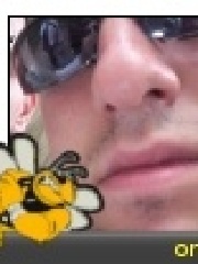 orszer's profile picture orszer's profile picture