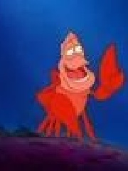 nicon's profile picture nicon's profile picture