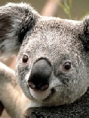 Jeebs' profile picture Jeebs' profile picture