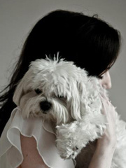 ToxicGirl's profile picture ToxicGirl's profile picture
