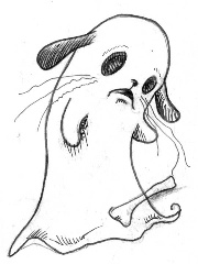 aavekoira's profile picture aavekoira's profile picture