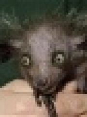 FaTTony's profile picture FaTTony's profile picture