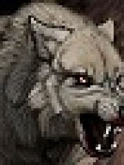 wfd's profile picture
