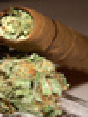 kush's profile picture kush's profile picture
