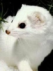 uAsica's profile picture uAsica's profile picture