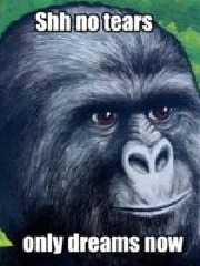 Elly's profile picture Elly's profile picture
