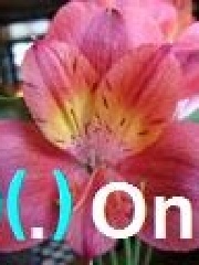 Onimuska's profile picture Onimuska's profile picture