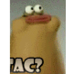 tacin's profile picture