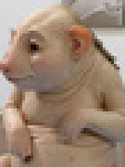 dongo's profile picture dongo's profile picture