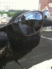 Krii's profile picture Krii's profile picture