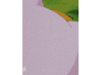 Saddadidalam's profile picture Saddadidalam's profile picture