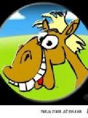 dydZiu's profile picture dydZiu's profile picture