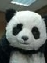 Fess' profile picture