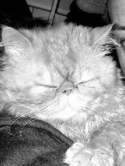 Nub's profile picture Nub's profile picture