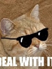 reality's profile picture reality's profile picture
