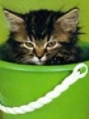 wiaderko's profile picture wiaderko's profile picture