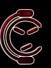 Ceres' profile picture Ceres' profile picture