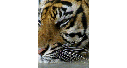 DrLagAlot's profile picture DrLagAlot's profile picture