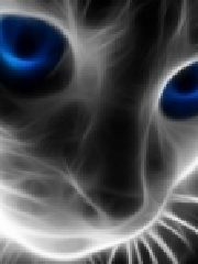 Aniky's profile picture Aniky's profile picture