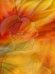 pbl's profile picture pbl's profile picture