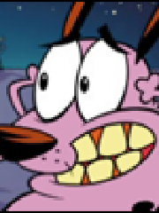 vimm's profile picture vimm's profile picture